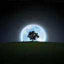 Night