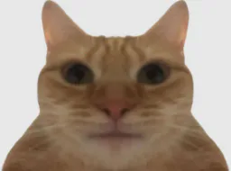 :Chat_mirroir: