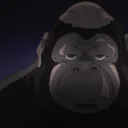 ANIMAL_Y