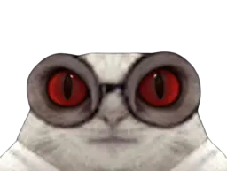 :Chat-Cru103: