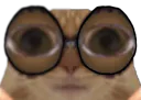 :Chat_deprime: