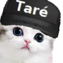 NIKJVC