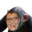 Photo de profil de Saintfumier