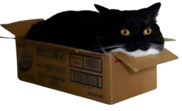 :Chat_carton: