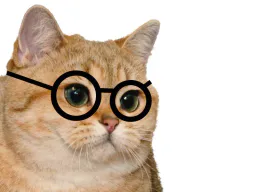 :sodium_lunette: