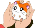 :Hamtaro_mignon: