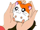 :Hamtaro_mignon: