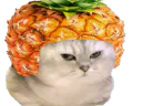 :chananas: