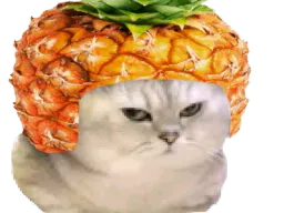 :chananas: