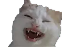 :lul: