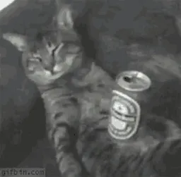 :Chat_marlou_fatigue_: