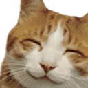 HappyCat