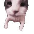 :bisou:
