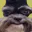 Photo de profil de ChienMangeFion