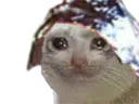 :chaluminium: