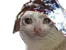 :chaluminium: