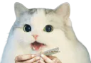 :Cattox: