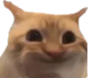 :ChatLimitPeur: