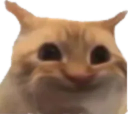 :ChatLimitPeur: