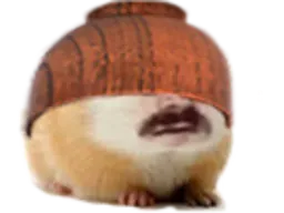:Hamster_aveugled: