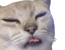 :Chatgolmon4: