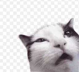 :wuee: