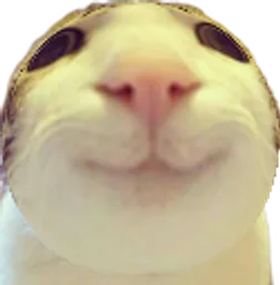 :chat_marrant_rond: