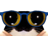 :chat_lunettes3: