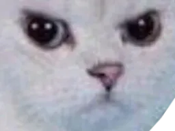 :chat_enerve_zoom: