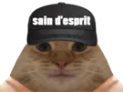 :Sain: