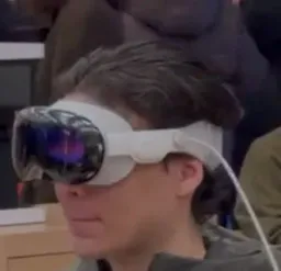 :Apple_vision: