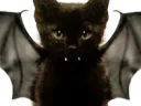 :chaton_chauve_souris: