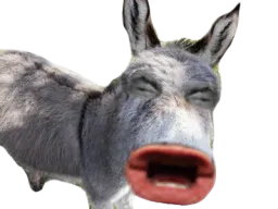 :ane: