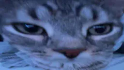 :cs_zoom2: