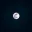 Photo de profil de Elune