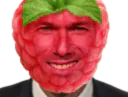 :zidane_framboise:
