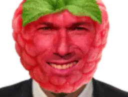 :zidane_framboise: