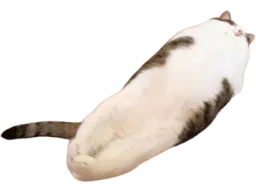 :Challonge:
