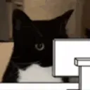:Chatordi2: