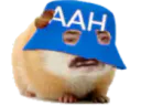 :hamster_aah: