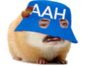 :hamster_aah: