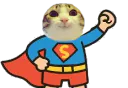 :SuperMarrant: