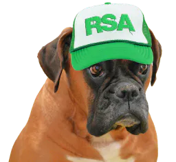 :Boxer: