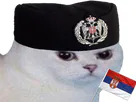 :chat_serbie: