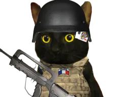 :chatSoldat: