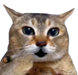 :Chat_chokextrem: