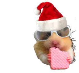 :Hamster_buche_de_noel: