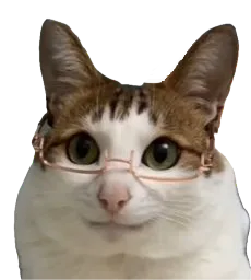 :chatlunette4: