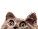 :demi_chat: