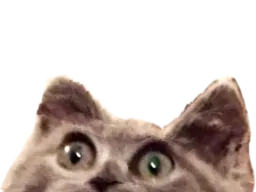 :demi_chat: